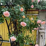 Charming Apartment in Villa near Airport